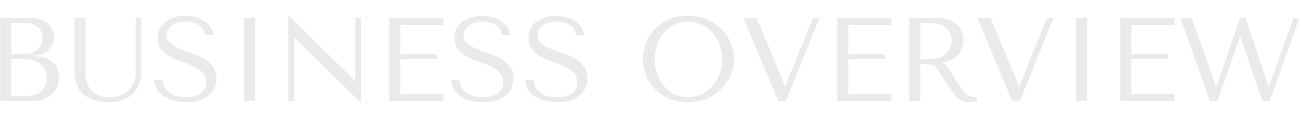 BUSINESS OVERVIEW